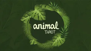 Animal Tarot