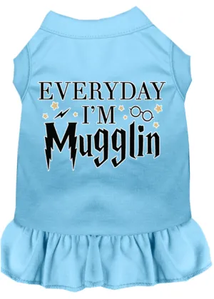 Everyday I'm Mugglin Screen Print Dog Dress Baby Blue Xxl (18)