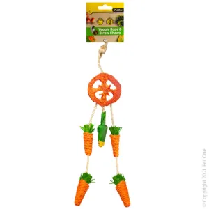 Pet One Small Animal Veggie Rope And Straw Chew Hanging Dreamcatcher