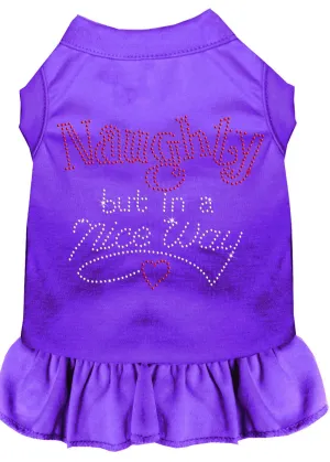 Rhinestone Naughty But In A Nice Way Dress Purple Xxxl (20)